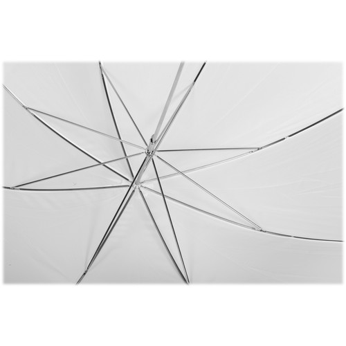 1504012565_IMG_859026