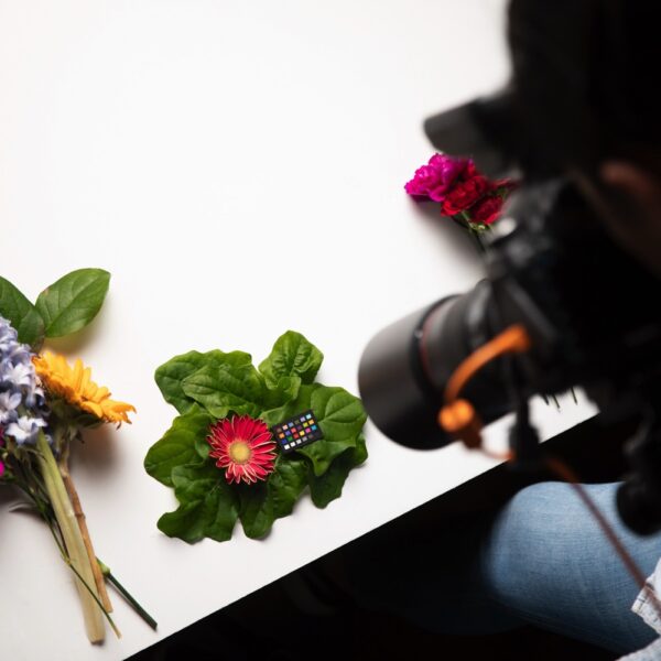 CCC-NANO_PT04_OnSet1-600x600