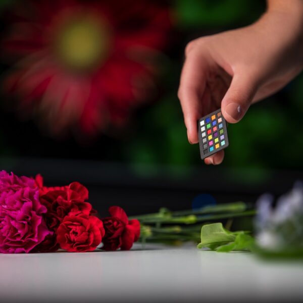 CCC-NANO_PT05_OnSet2-600x600